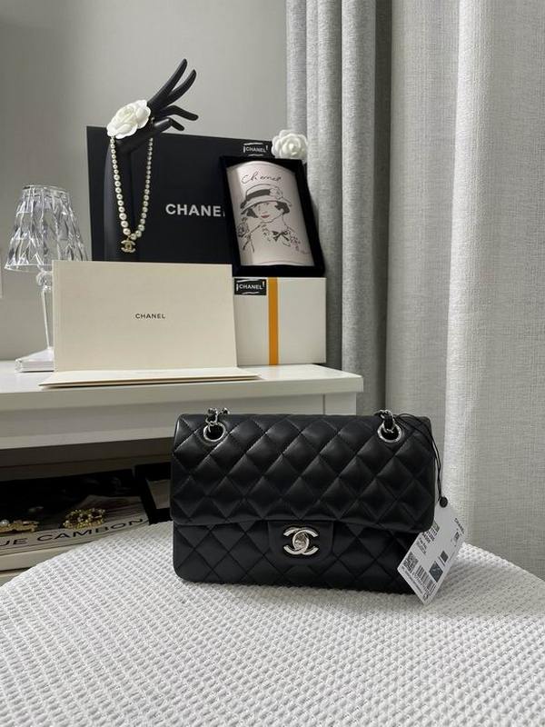 Chanel Handbags 171